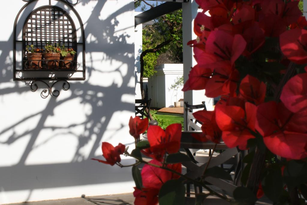 Lemon & Lime Guesthouse Блумфонтейн Екстер'єр фото