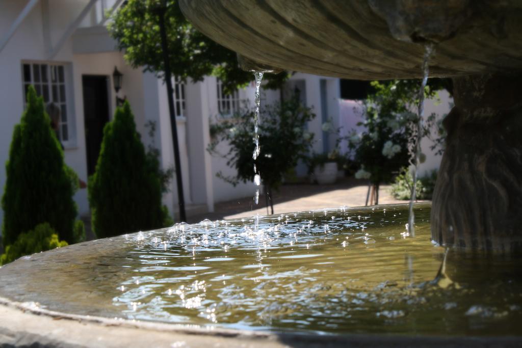 Lemon & Lime Guesthouse Блумфонтейн Екстер'єр фото